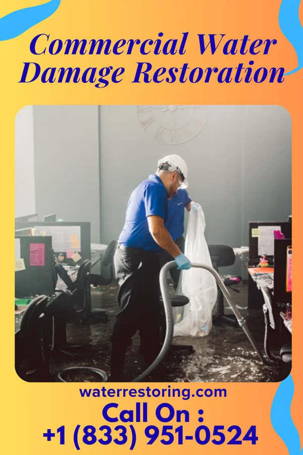 Commercial Water Damage Restoration in Reynolds, GA